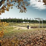 Parc Catalunya a Sabadell