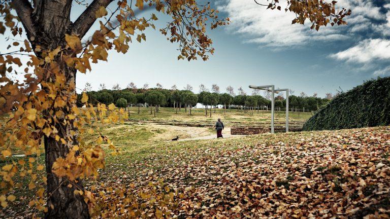 Parc Catalunya a Sabadell