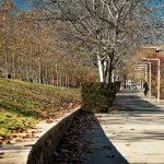 Parc Central de Sant Cugat del Vallès