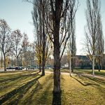 Sistema de parcs de Sant Cugat del Vallès
