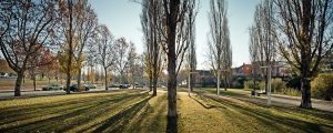 Sistema de parcs de Sant Cugat del Vallès