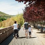 Ordenació del front urbà de Viladecans al delta del Llobregat