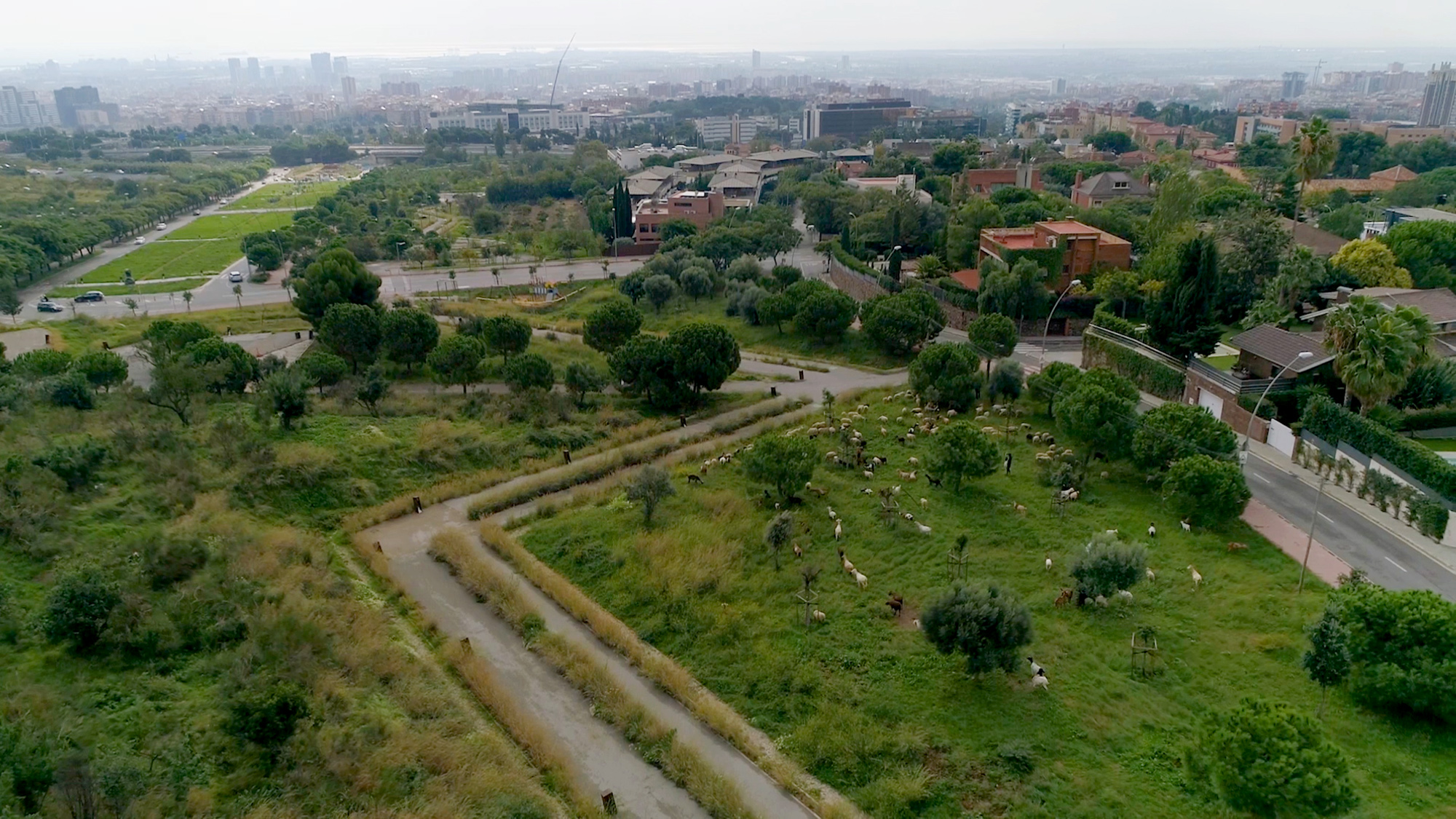 Ordenació Finestrelles a Esplugues de Llobregat