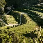 Restauració paisatgística del Dipòsit Controlat del Garraf a Barcelona