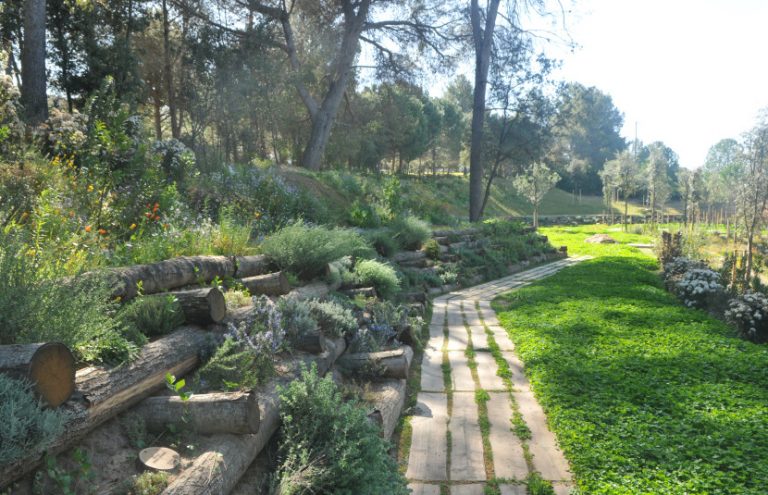 El Camí del bosc, al cementiri de Roques Blanques, guanya el premi Catalunya Construcció 2018 a la innovació.