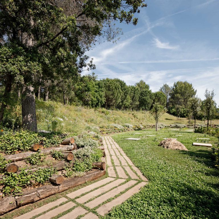 Camí del bosc al Cementiri de Roques Blanques al Parc Natural de Collserola, Barcelona