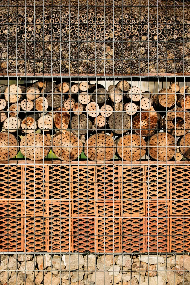 Hotel d’insectes
