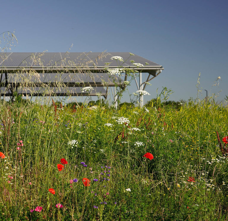Parc d’exposicions a Toulouse (MEETT)
