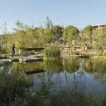 Parc Central, Skatepark i Biollac a Igualada