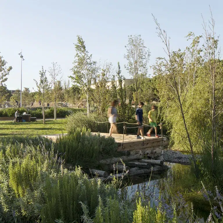 Parc Central, Skatepark i Biollac a Igualada