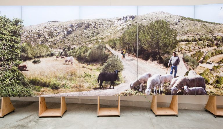 Exposició Farming the Life