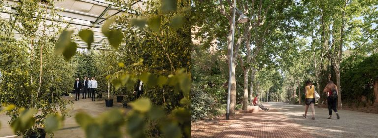 Un jardí efímer per al 40 aniversari de Batlleiroig i el Passeig de la Boca de la Mina a Reus, seleccionats per als Premis ARQUITECTURA CSCAE 2023