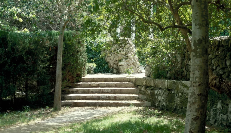 Parc d’Es Freginal