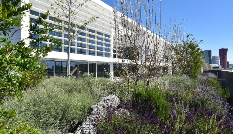Oficines Greenvia a L’Hospitalet de Llobregat
