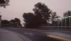 BIR Project